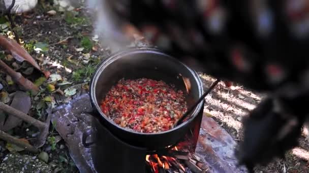 Кулинария Разбила Овощи Костре Дворе Традиционной Пищи — стоковое видео