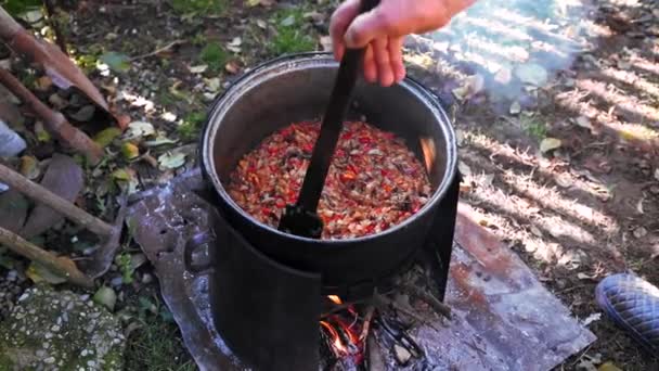 Cozinhar Vegetais Esmagados Fogo Madeira Quintal Comida Tradicional — Vídeo de Stock