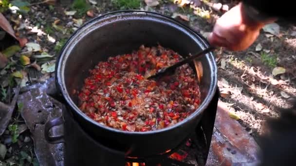 庭の薪火で野菜を調理する伝統的な食べ物 — ストック動画