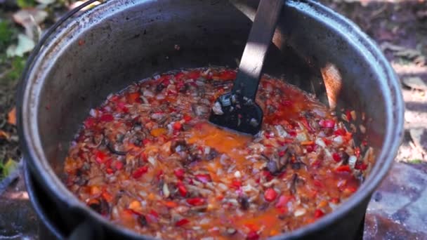 Bahçedeki Odun Ateşinde Ezilmiş Sebze Pişirmek Geleneksel Yemektir — Stok video