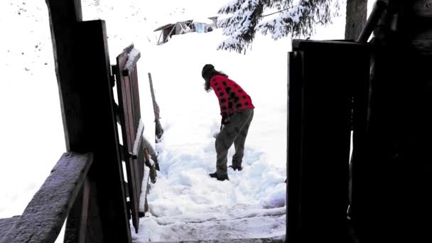 Мужчина Собирает Снег Рядом Хлопком — стоковое видео