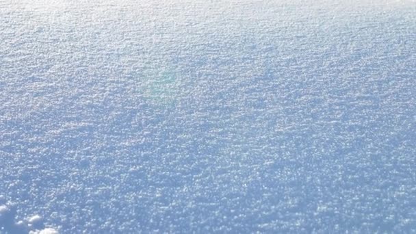Orörd Snö Texturer Bergen — Stockvideo