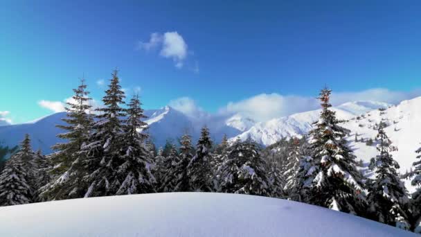 Καταπληκτικό Timelapse Στα Βουνά Χειμώνα — Αρχείο Βίντεο