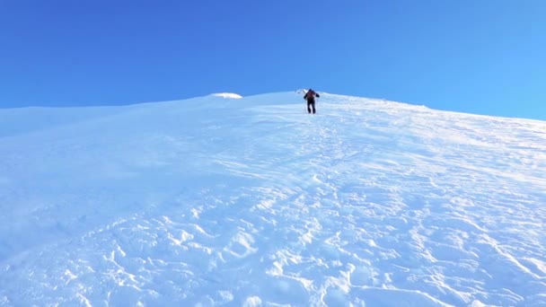 Yürüyüşçü Kış Mevsiminde Kar Rüzgarla Dağa Tırmanıyor — Stok video