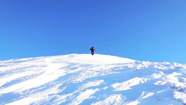 Pěší Turistika Horách Zimním Období Sněhem Větrem — Stock video