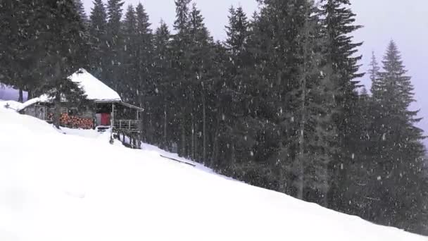 Geweldige Sneeuwdag Het Chalet Bergen Tijdens Winter — Stockvideo