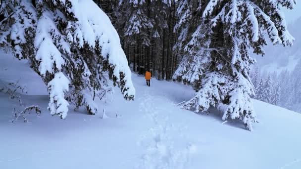 Een Wandelaar Het Geel Wandelend Door Het Besneeuwde Bos Het — Stockvideo