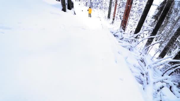 一个穿着黄色衣服的徒步旅行者在雪地的森林里散步 — 图库视频影像