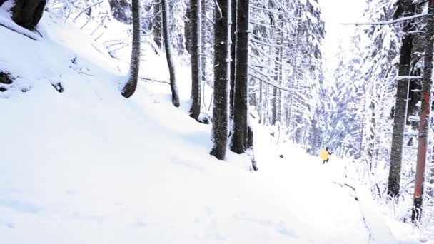 Excursionista Amarillo Caminando Por Bosque Nevado Temporada Invierno — Vídeo de stock
