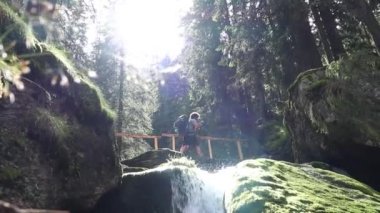 Yürüyüşçü sonbaharda dağ nehri yakınlarında orman yolunda yürür.