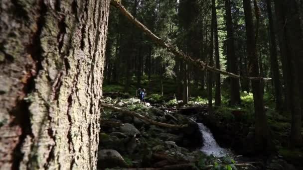 Пешие Прогулки Лесной Тропе Возле Горной Реки Осенью — стоковое видео