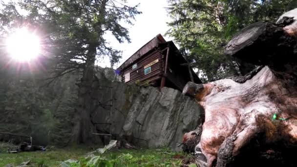 Ορεινό Καταφύγιο Χτισμένο Ένα Μεγάλο Βράχο Κοντά Στο Πευκοδάσος — Αρχείο Βίντεο