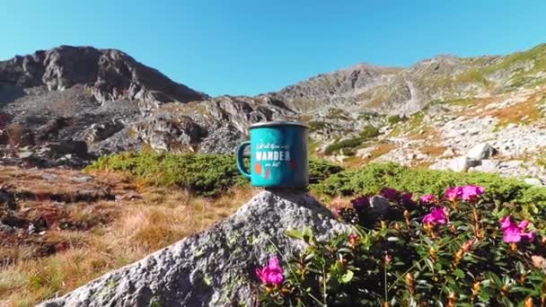 山の中のピンクの花に囲まれた石の上の青いコーヒーカップ — ストック動画