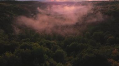 Yaz mevsiminde gün batımında yeşil bir ormanın üzerindeki güzel hava manzarası