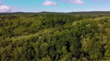 İlkbaharda doğal ışıkta bir ormanın üzerindeki nefes kesici hava manzarası.