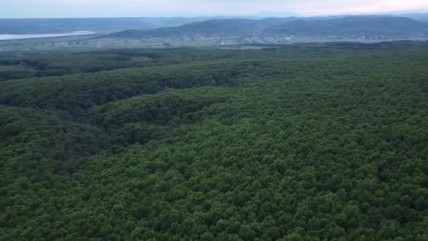 Bela Paisagem Aérea Acima Uma Floresta Verde Durante Pôr Sol — Vídeo de Stock