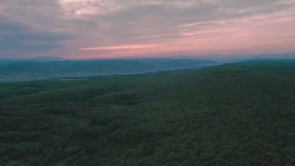 Hermoso Paisaje Aéreo Sobre Bosque Verde Durante Atardecer Verano — Vídeos de Stock