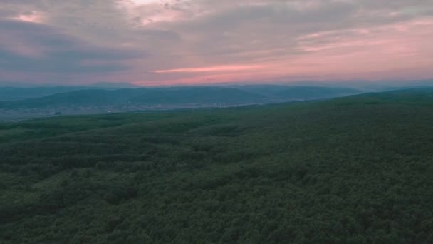 Hermoso Paisaje Aéreo Sobre Bosque Verde Durante Atardecer Verano — Vídeos de Stock