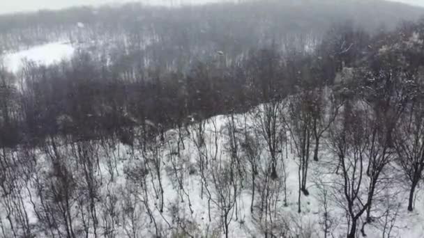 Snöig Dag Ovanför Skog Vintern Flygbilder — Stockvideo