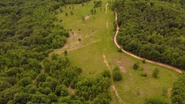 Vídeo Aéreo Acima Floresta Colinas Estrada Rural Luz Natural Durante — Vídeo de Stock
