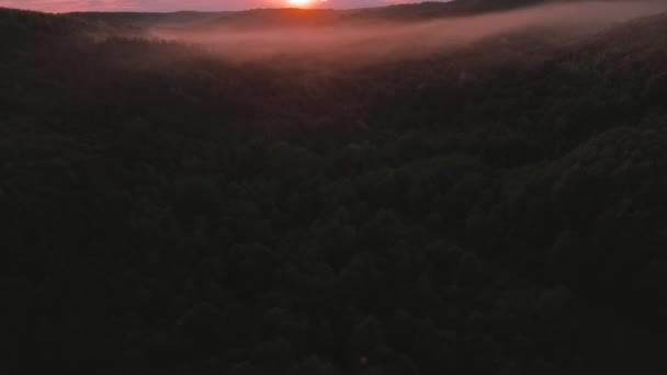 Hermoso Paisaje Aéreo Sobre Bosque Verde Durante Atardecer Verano — Vídeos de Stock