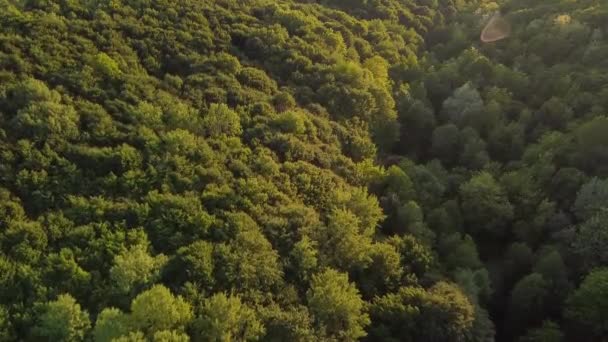 Peisaj Aerian Uluitor Deasupra Unei Păduri Lumină Naturală Timpul Primăverii — Videoclip de stoc
