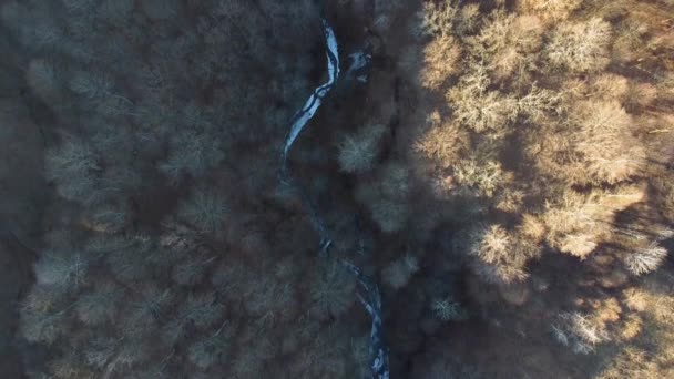 Letecký Záznam Nad Lesem Zamrzlým Potokem Zimním Období — Stock video
