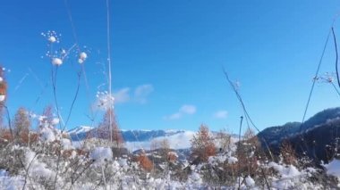 Renkli yapraklar ve mavi gökyüzüyle sonbahar-kış mevsiminde inanılmaz dağ manzarası