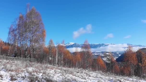 Erstaunliche Berglandschaft Herbst Winter Mit Farbigen Blättern Und Blauem Himmel — Stockvideo