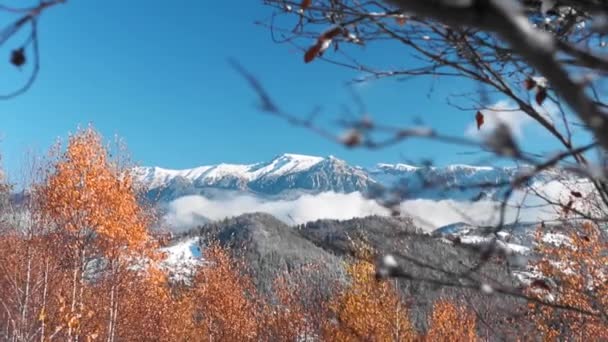 Verbazingwekkend Berglandschap Herfst Winter Met Gekleurde Bladeren Blauwe Lucht — Stockvideo