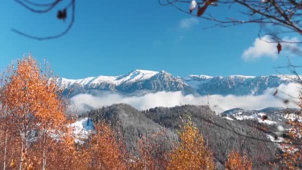 Paisagem Montanha Incrível Outono Inverno Com Folhas Coloridas Céu Azul — Vídeo de Stock