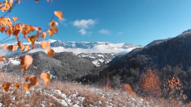 Verbazingwekkend Berglandschap Herfst Winter Met Gekleurde Bladeren Blauwe Lucht — Stockvideo