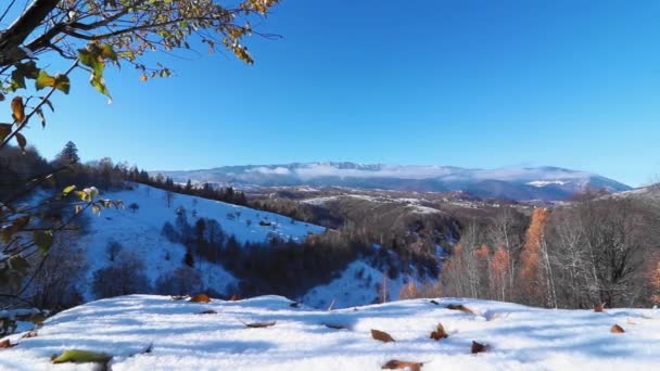 Paysage Hivernal Incroyable Avec Des Montagnes Sur Fond Des Feuilles — Video