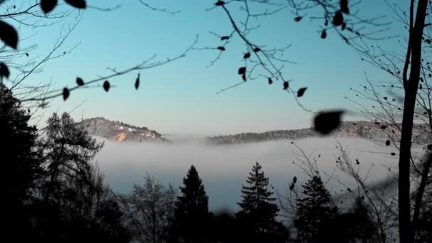 Misty Dag Het Dennenbos Met Bergen Achtergrond — Stockvideo