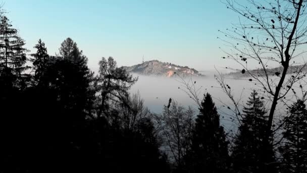 Nebliger Tag Kiefernwald Mit Bergen Hintergrund — Stockvideo