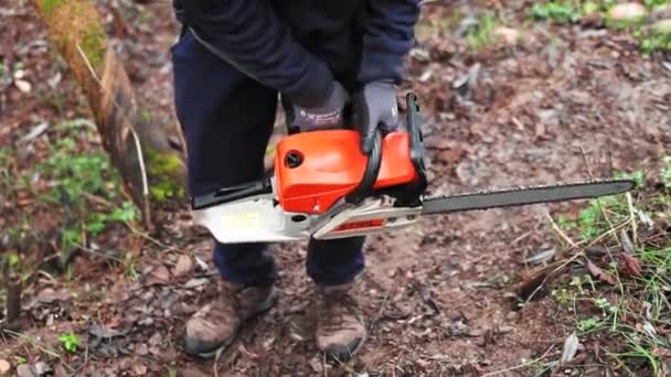 Hombre Que Empezó Una Motosierra Bosque Durante Otoño — Vídeos de Stock