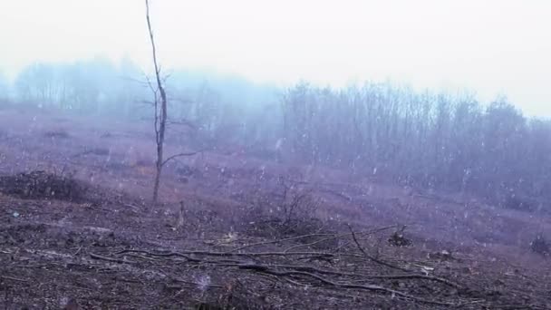 Obszar Wylesiania Błotem Śniegiem Sezonie Zimowym — Wideo stockowe