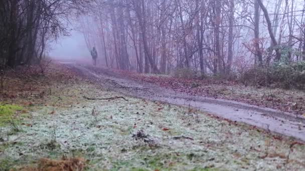 Ein Mann Geht Herbst Mit Nebel Und Buntem Laub Auf — Stockvideo