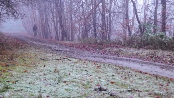 Homme Marche Sur Route Forestière Automne Avec Brouillard Des Feuilles — Video