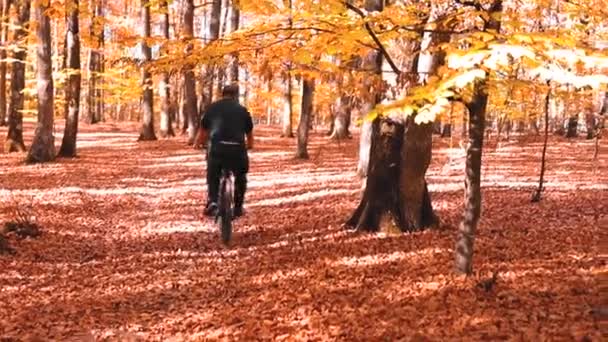 Muž Kole Lese Barevnými Listy Během Podzimu — Stock video