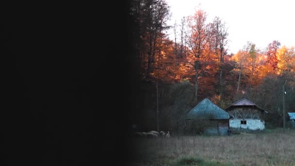 Sonbahar Zamanı Eski Geleneksel Evler Koyun Sürüsüyle Kırsal Alan — Stok video