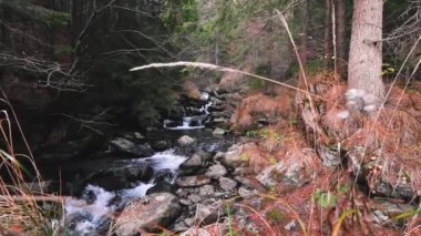 Sonbahar mevsiminde taşların arasından akan inanılmaz dağ nehri.
