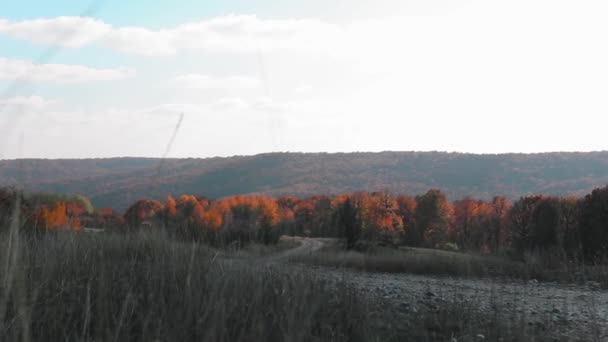 Feld Und Waldlandschaft Herbst Mit Farbigen Blättern — Stockvideo
