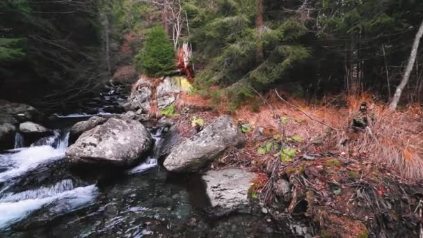 Amazing Mountain River Flowing Stones Autumn Season — Stock video