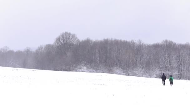 Two Hikers Walks Toghether Forest Winter Season Snowing — 비디오