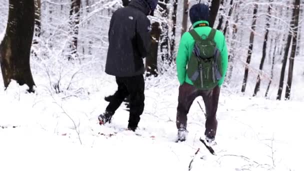 Two Hikers Walks Toghether Forest Winter Season Snowing — Stock Video
