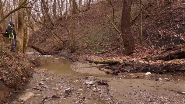 Homme Chien Marchent Près Ruisseau Forestier Printemps — Video