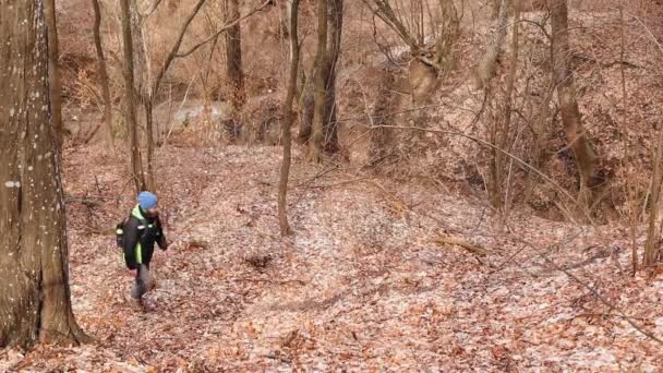 春天里 一个徒步旅行者在森林小径上散步 — 图库视频影像