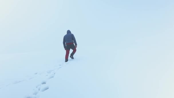 Escursionista Cammina Sulla Neve Montagna Con Cane — Video Stock