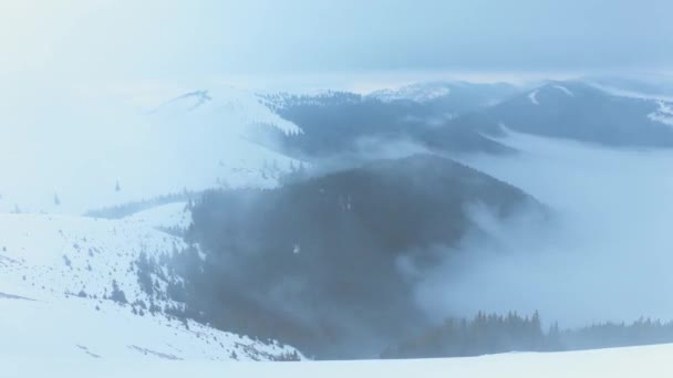 Splendido Time Lapse Montagna Con Nebbia Nella Foresta Durante Inverno — Video Stock